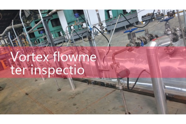 Vortex flowmeter inspection